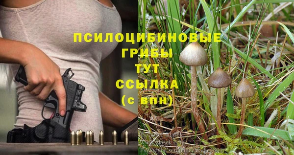 гидра Алексеевка