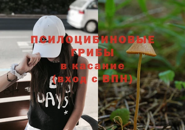 Альфа ПВП Алексин