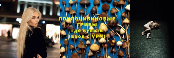гидра Алексеевка