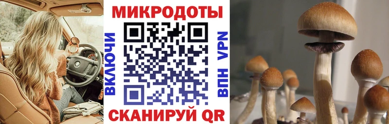 Галлюциногенные грибы ЛСД omg зеркало Муравленко где купить наркоту