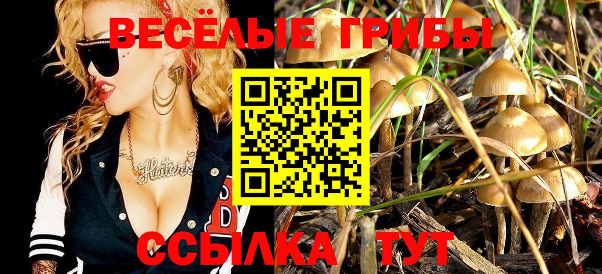 Муравленко  Псилоцибиновые грибы ЛСД  Вход с VPN 