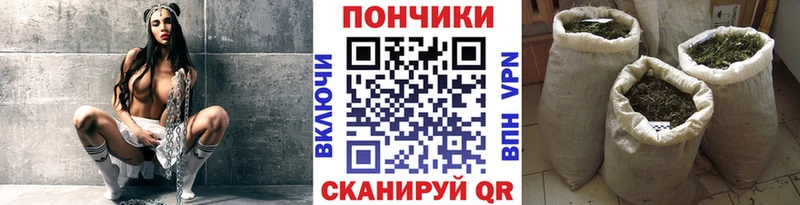 где купить   Муравленко  Шишки марихуана сатива 